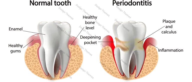 img4 Your dental clinic in Cambodia - Phnom Penh